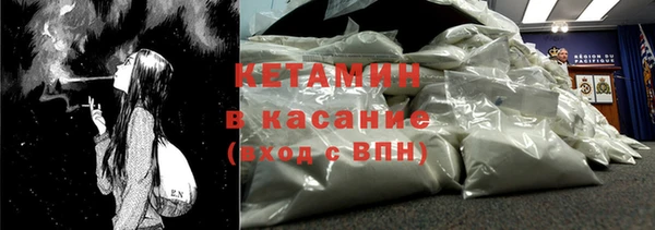 стаф Алзамай