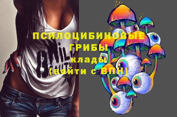 стаф Алзамай