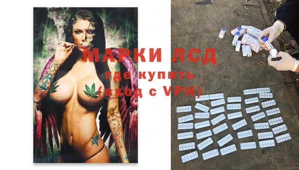 стаф Алзамай
