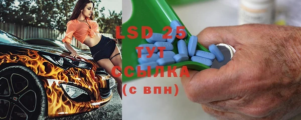 стаф Алзамай