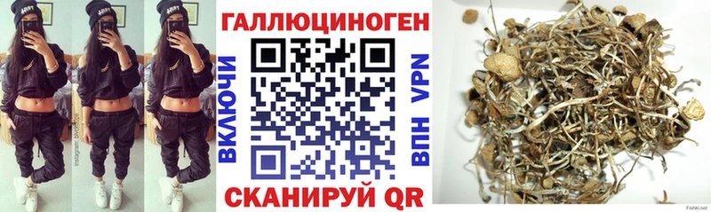 Псилоцибиновые грибы Psilocybine cubensis  Апрелевка 
